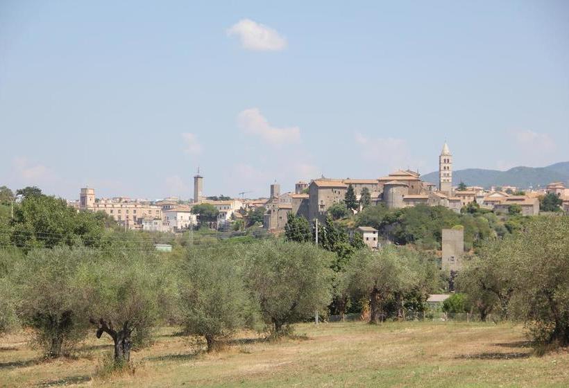 La Fattoria Barbini B&b  | Viterbo | Viterbo | Italia 8