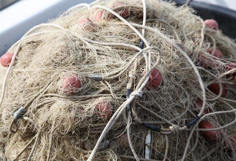 Bed and Breakfast La Casa Sul Molo  | Viareggio | Lucca | Itália 16