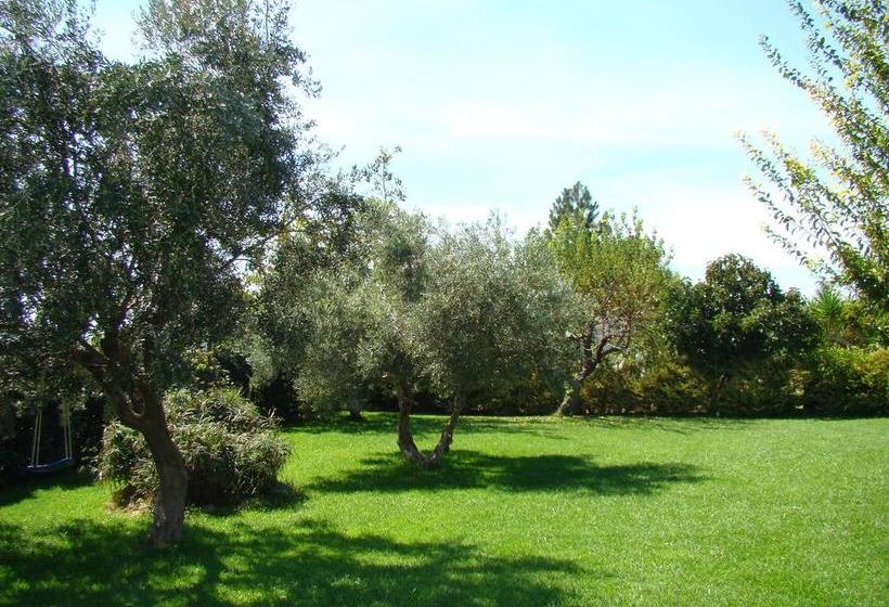 B&b Due Fontane  | Caltanissetta | Caltanissetta | Italia 13