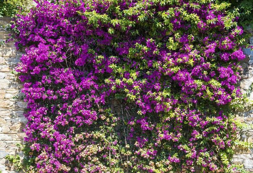 B&b Renalù  | Verbania | Verbano-Cusio-Ossola | Italia 10