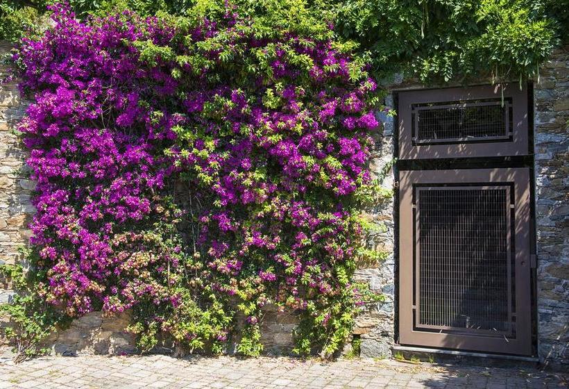 B&b Renalù  | Verbania | Verbano-Cusio-Ossola | Italia 9