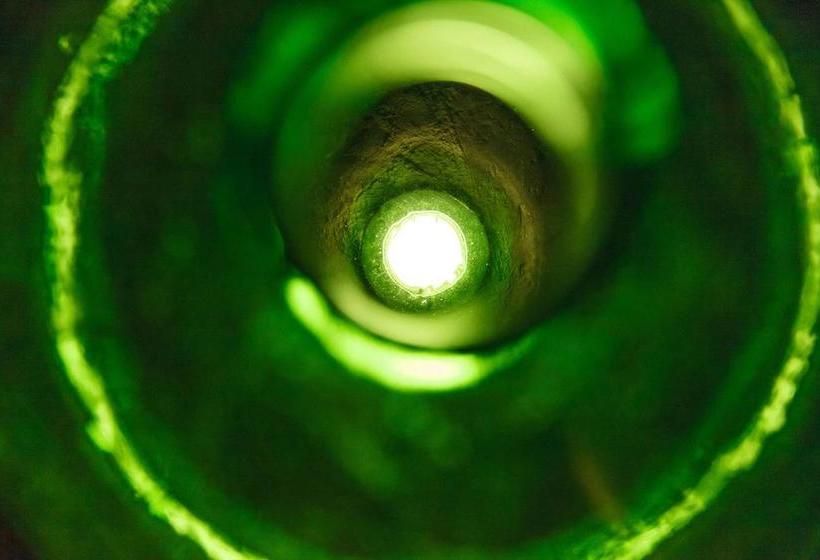 B&b Antico Ulivo  | Monopoli | Bari | Itália 16