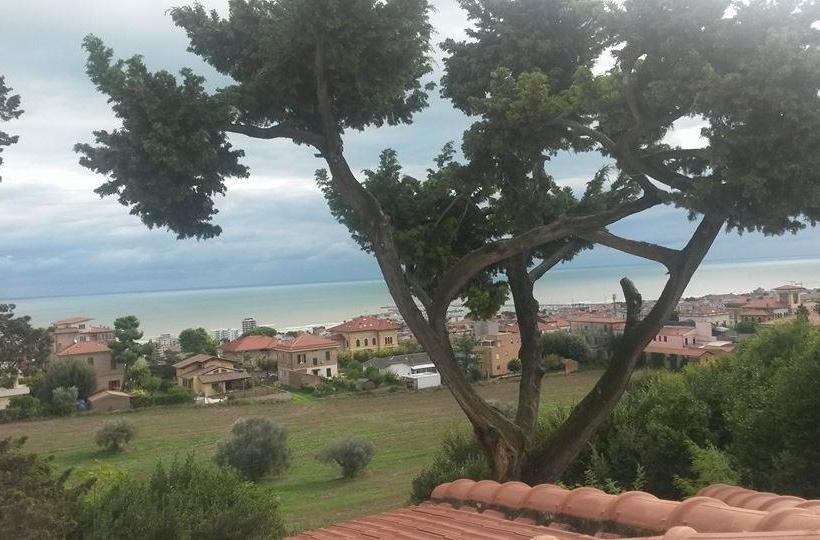 Bed and Breakfast Terrazza Sul Mare  | Giulianova | Teramo | Italia 15