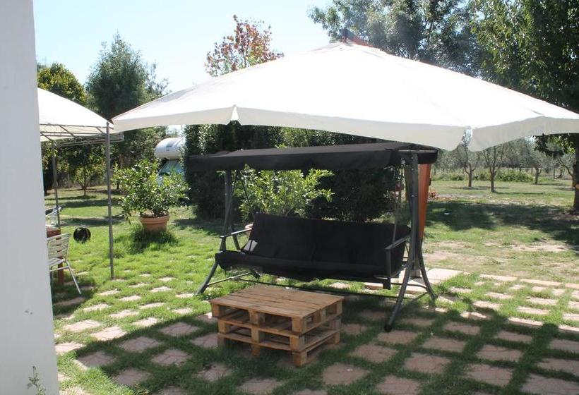 Axia Terme B&b  | Viterbo | Viterbo | Italia 5