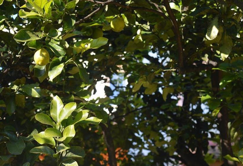 Bed and Breakfast Il Piccolo Principe  | Brindisi | Brindisi | Italia 10