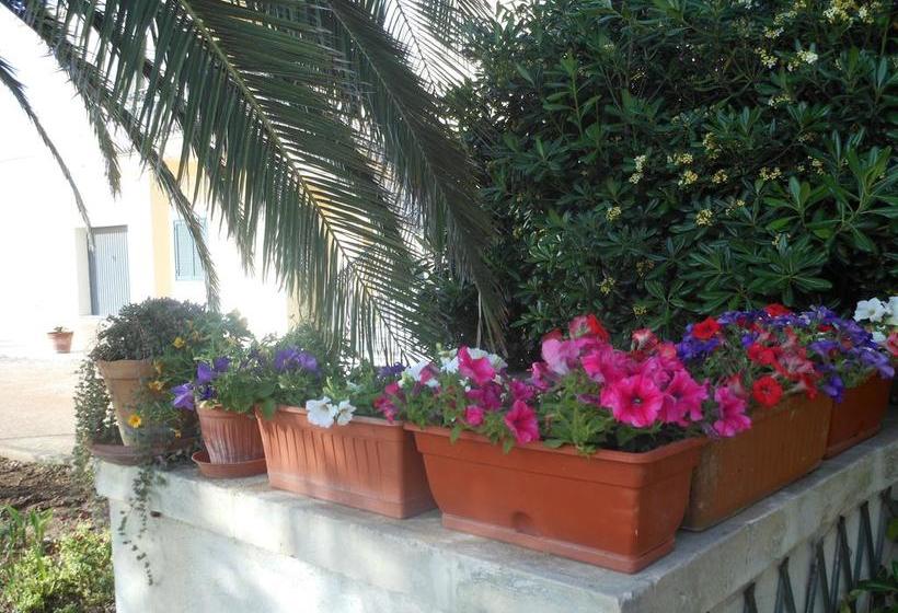 Bed and Breakfast Il Piccolo Principe  | Brindisi | Brindisi | Italia 11
