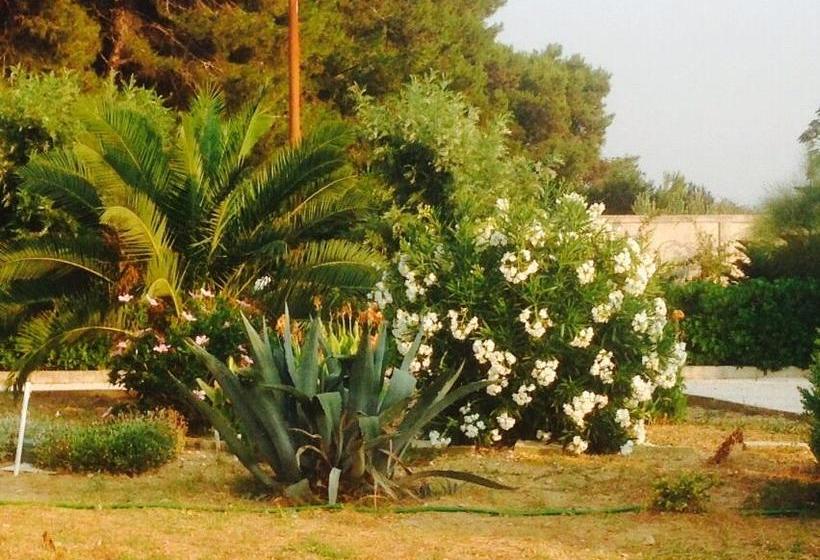 Bed and Breakfast Il Piccolo Principe  | Brindisi | Brindisi | Italia 15