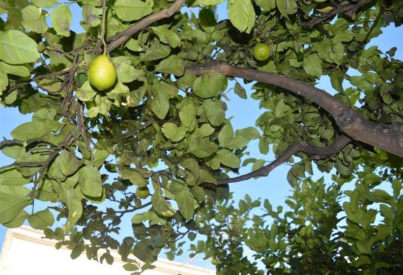 Bed and Breakfast Il Piccolo Principe  | Brindisi | Brindisi | Italia 9