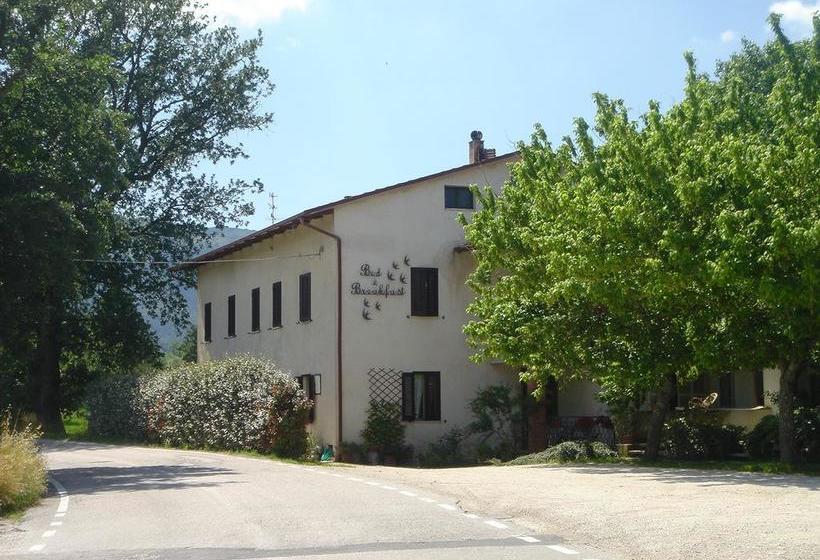 B&b Le Rondinelle  | Spoleto | Perugia | Italia 1