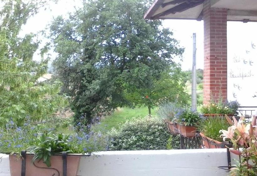 B&b Le Rondinelle  | Spoleto | Perugia | Italia 14