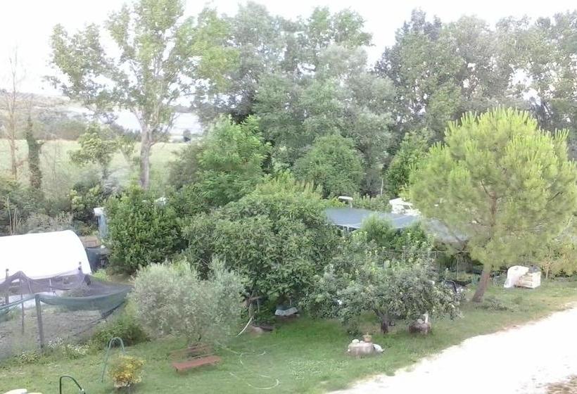 B&b Le Rondinelle  | Spoleto | Perugia | Italia 17