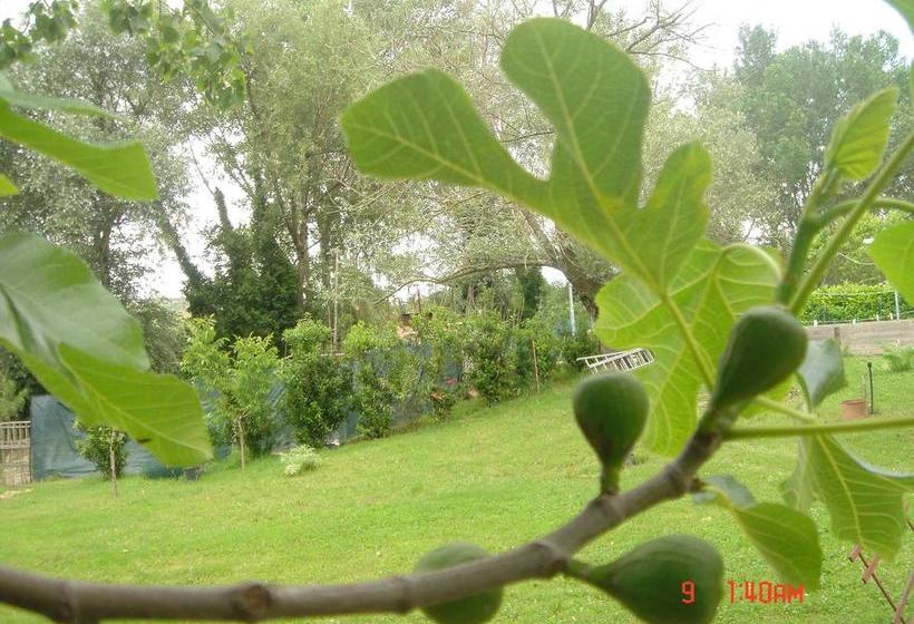 B&b Le Rondinelle  | Spoleto | Perugia | Italia 4