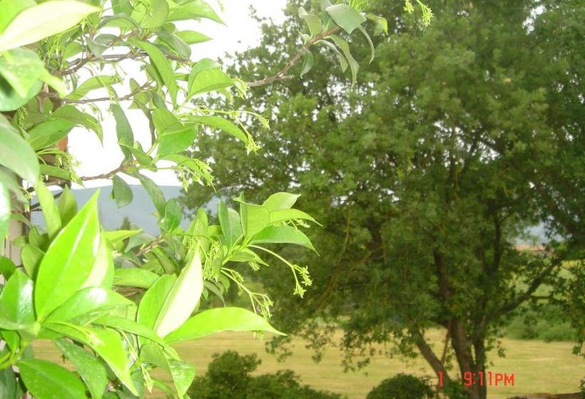 B&b Le Rondinelle  | Spoleto | Perugia | Italia 6