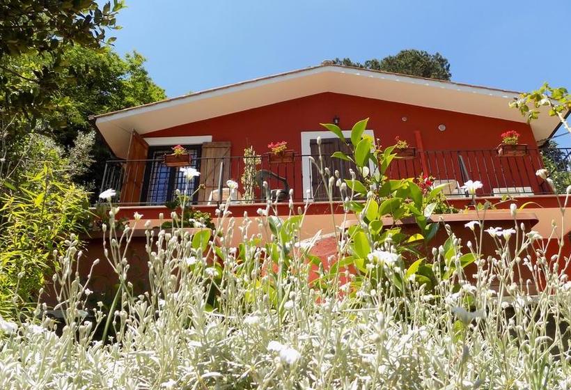 B&b Il Giardino Delle Camelie  | Palestrina | Roma | Italia 2