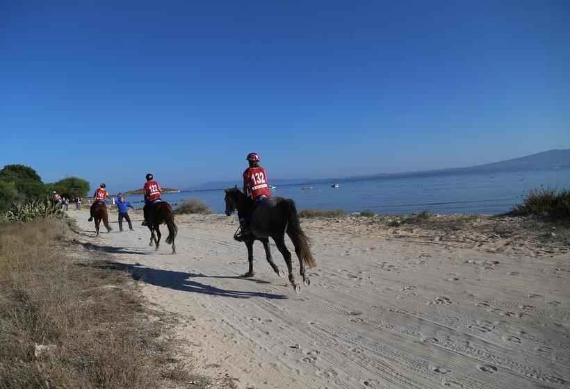 B&b Tre  | Oristano | Sardinia | Itália 3