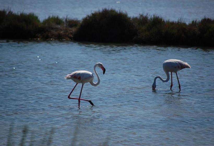 B&b Tre  | Oristano | Sardinia | Itália 5