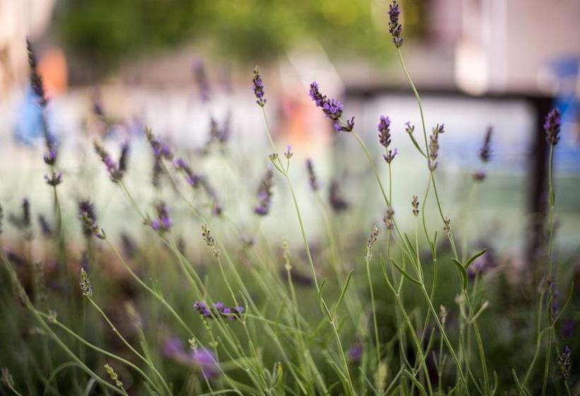 Bed and Breakfast Garden On The Sea