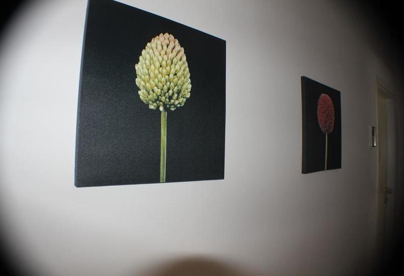 Domus Corso Umberto 18 B&b  | Pescara | Pescara | Italia 12