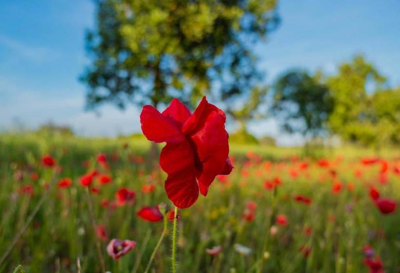 La Ozza B&b  | Otranto | Lecce | Italien 18