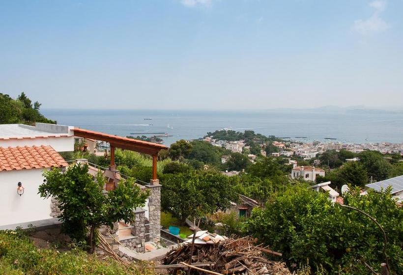 Nonna Angela Bed & Breakfast  | Ischia | Napoli | Italia 1