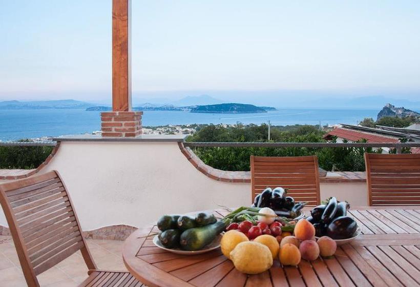 Nonna Angela Bed & Breakfast  | Ischia | Napoli | Italia 5