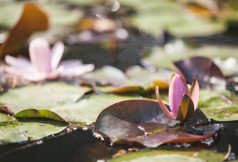 Bed and Breakfast Artemide Relais  | Montebelluna | Treviso | Italia 15