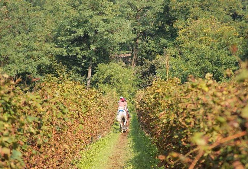 Bed and Breakfast Artemide Relais  | Montebelluna | Treviso | Italia 8