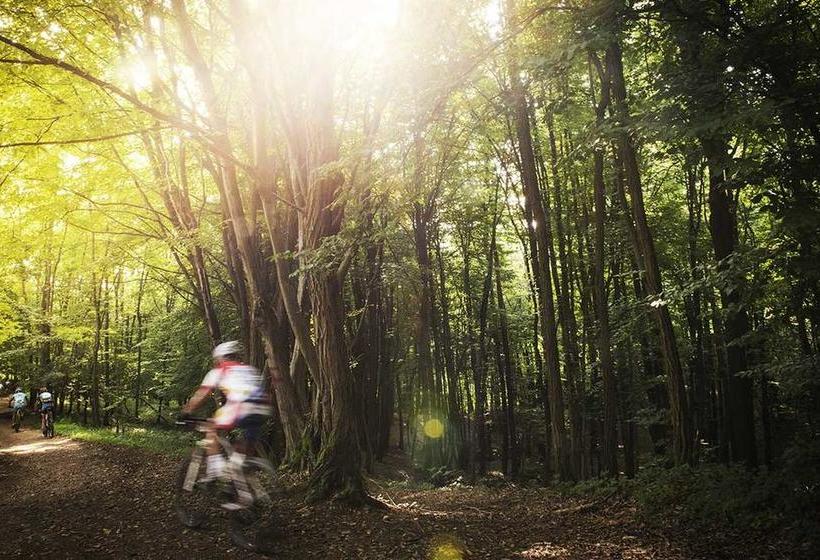 Bed and Breakfast Artemide Relais  | Montebelluna | Treviso | Italia 9