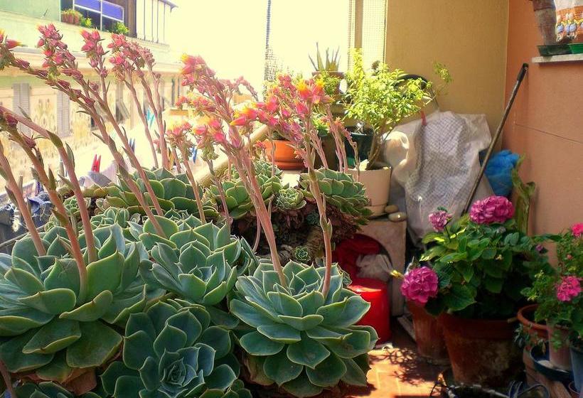 B&b Maya & Leo  | Genoa | Genoa | Italy 4