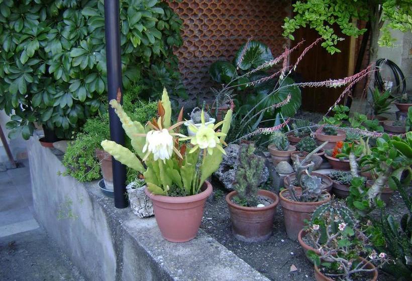 Bed and Breakfast Il Melograno Da Maria  | Mandas | Sardegna | Italia 11