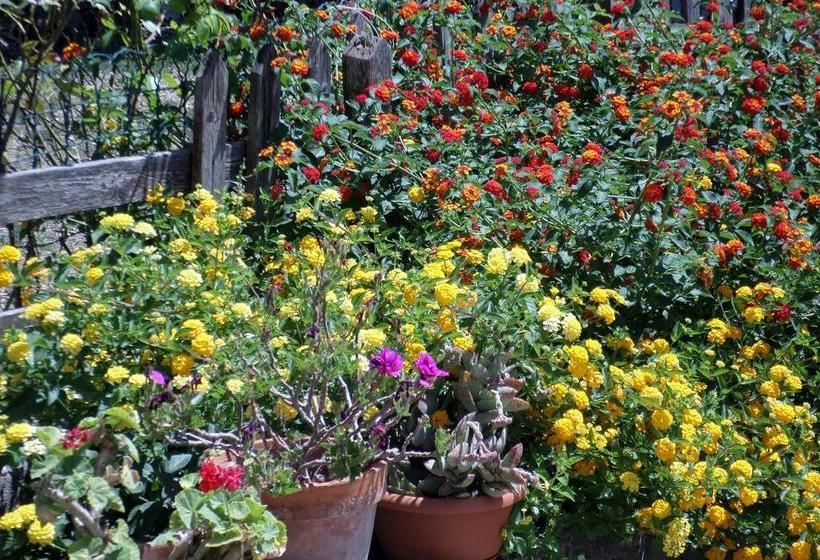 Bed and Breakfast Il Melograno Da Maria  | Mandas | Sardegna | Italia 12