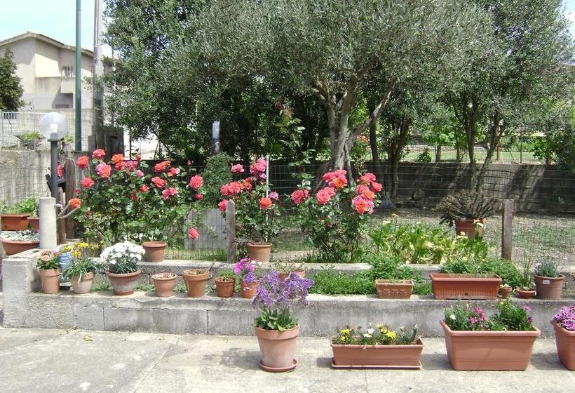 Bed and Breakfast Il Melograno Da Maria  | Mandas | Sardegna | Italia 13