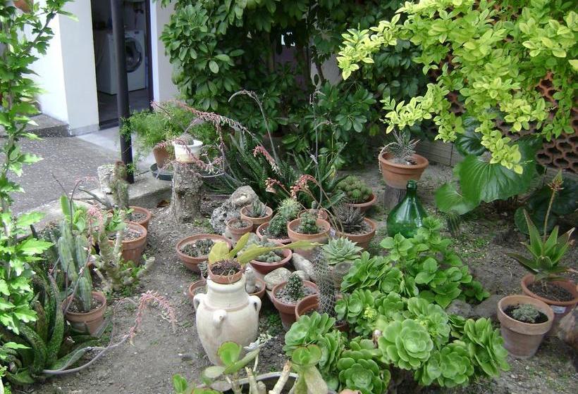 Bed and Breakfast Il Melograno Da Maria  | Mandas | Sardegna | Italia 9