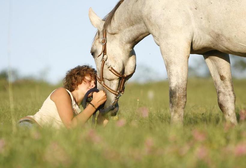 B&b Il Sentiero Dei Goti  | Monte Grimano Terme | Pesaro e Urbino | Italia 15