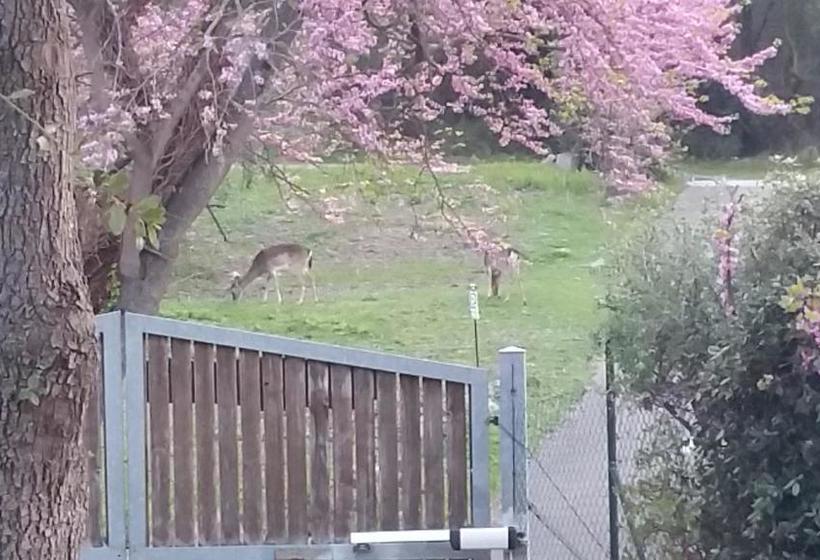 B&b La Casa Di Cosa  | Ansedonia | Grosseto | Italy 11