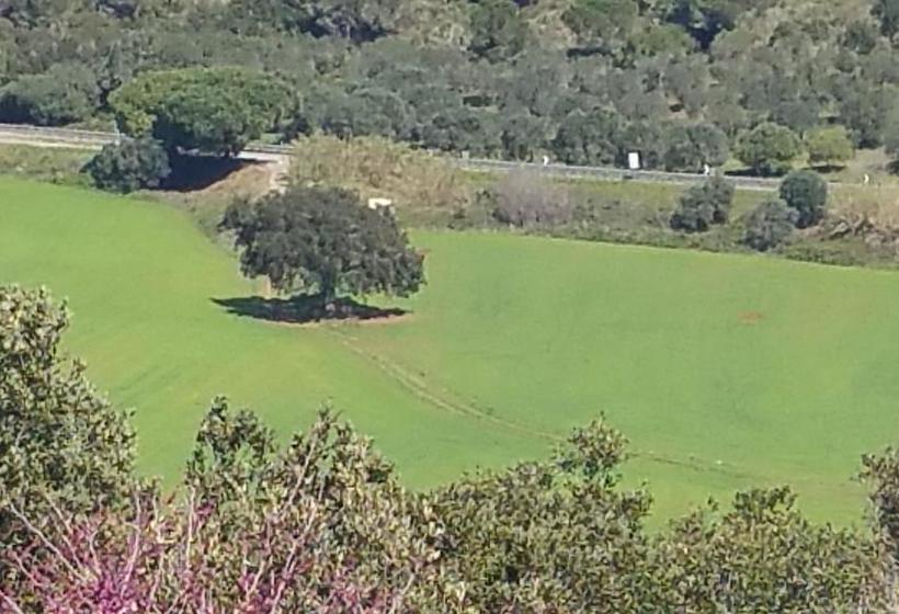 B&b La Casa Di Cosa  | Ansedonia | Grosseto | Italy 15