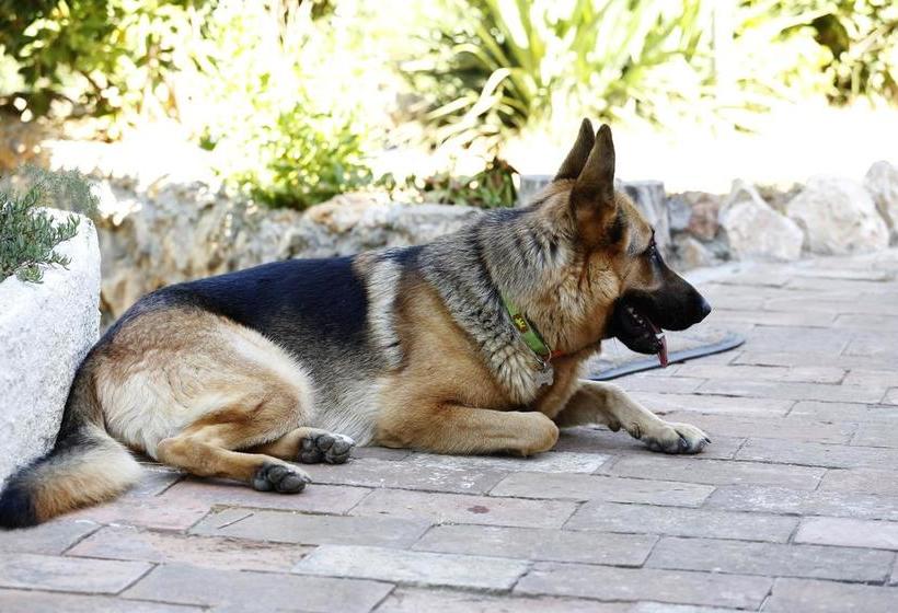 B&b La Casa Di Cosa  | Ansedonia | Grosseto | Italy 2