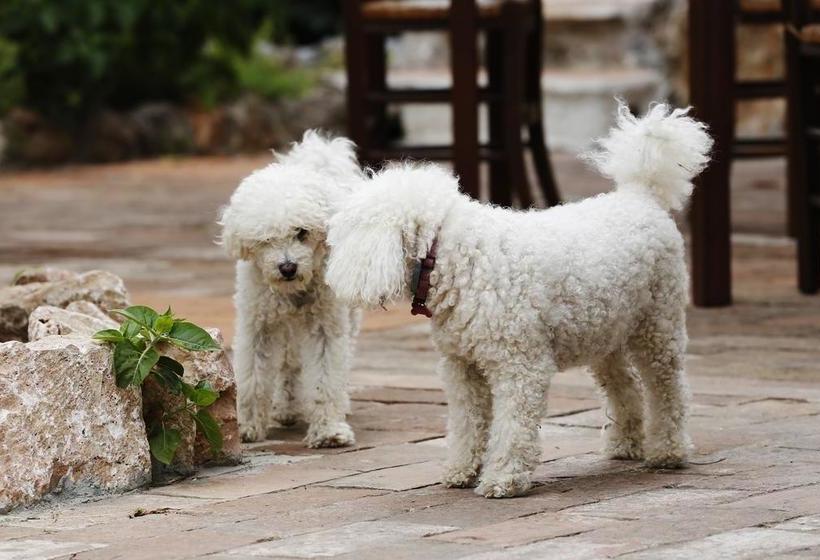 B&b La Casa Di Cosa  | Ansedonia | Grosseto | Italy 3