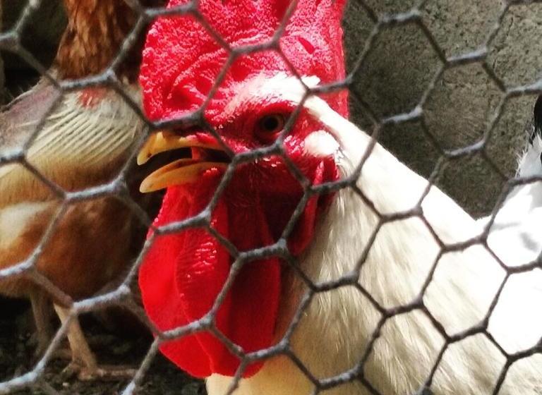 Idria B&b  | Barcellona Pozzo di Gotto | Messina | Italien 16