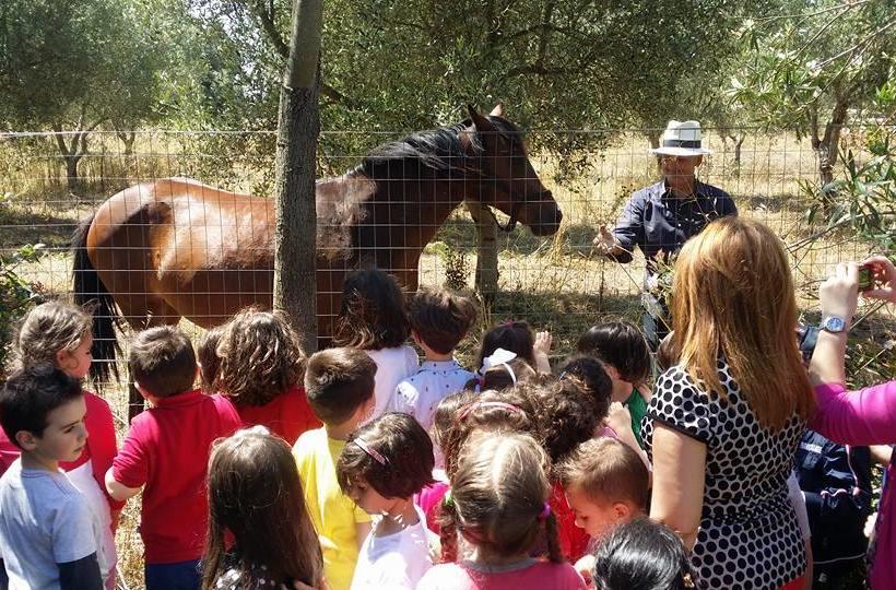B&b Tenuta Paradisi  | Copertino | Lecce | Italia 13
