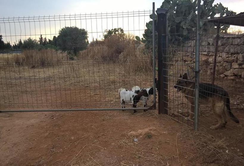 B&b Tenuta Paradisi  | Copertino | Lecce | Italia 2