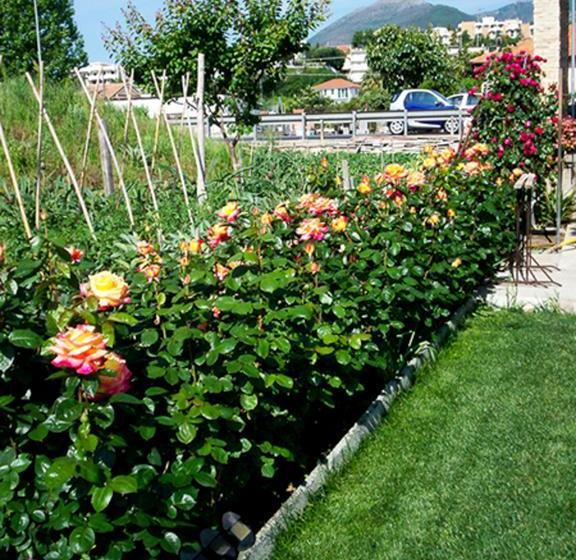 B&b Arancia145  | Ceriale | Savona | Italia 19