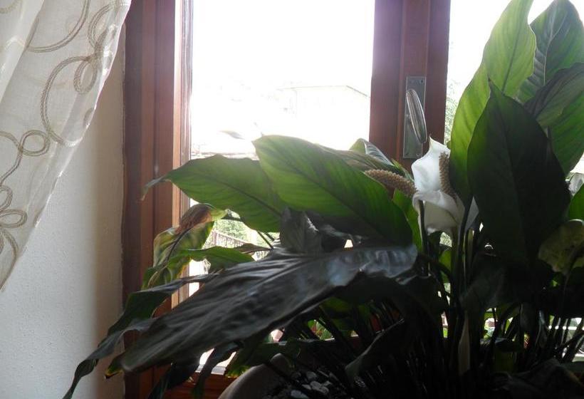 Hotel Eden  | Santa Fiora | Grosseto | Italia 12