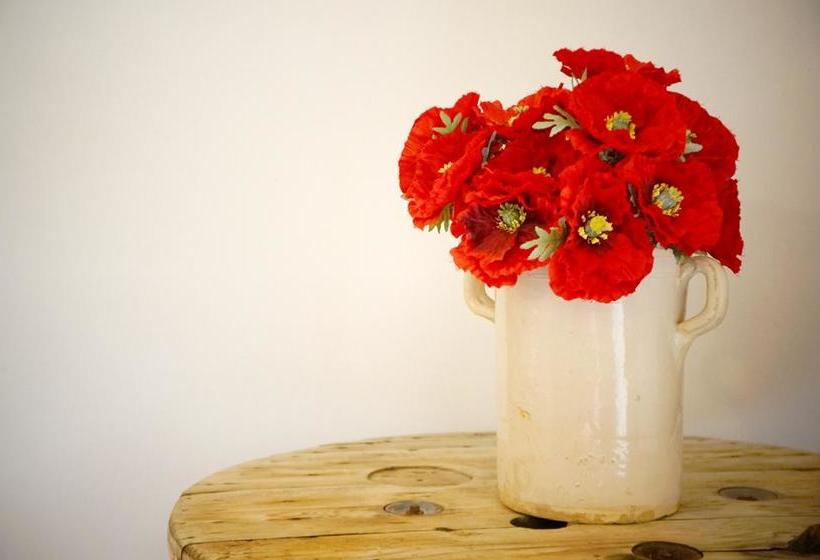 Bed and Breakfast Aria Di Casa Country Chic  | Alberobello | Bari | Itália 11