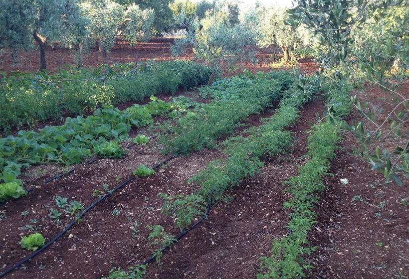 Bed and Breakfast Aria Di Casa Country Chic  | Alberobello | Bari | Itália 18