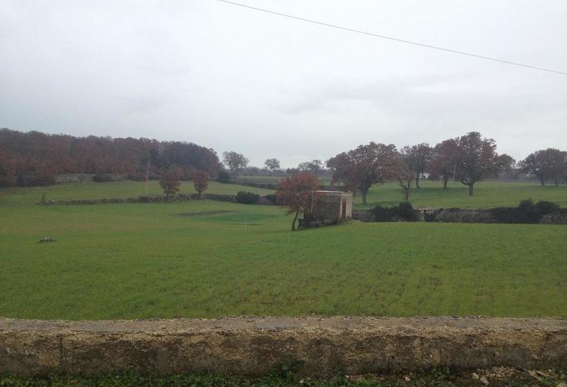 Bed and Breakfast Aria Di Casa Country Chic  | Alberobello | Bari | Itália 9