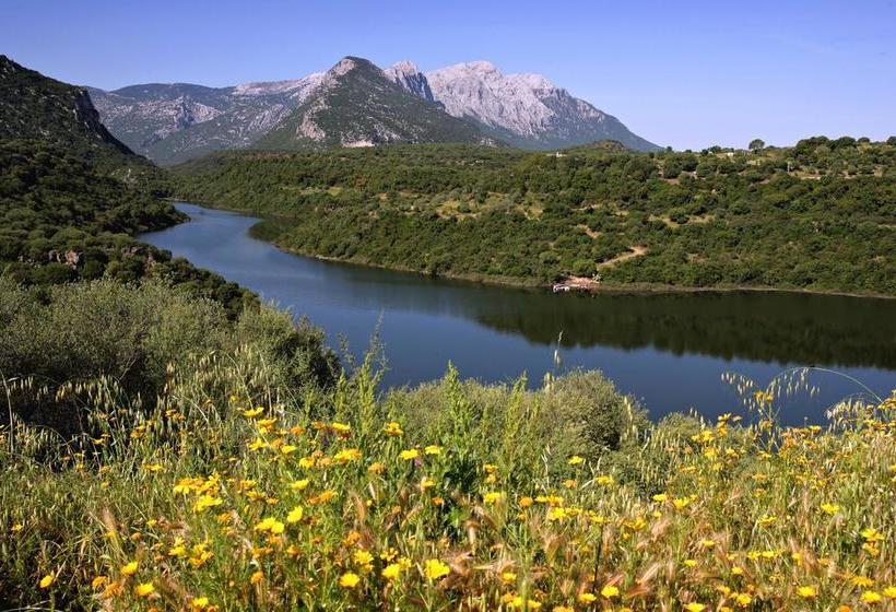 Bed and Breakfast Kianna Bed&breakfast  | Dorgali | Sardegna | Italia 4