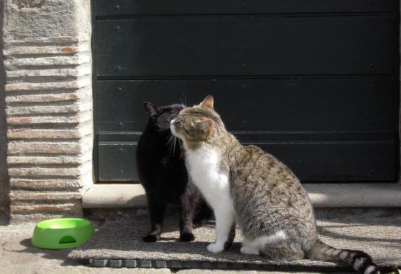B&b Il Gelso Bianco Viterbo