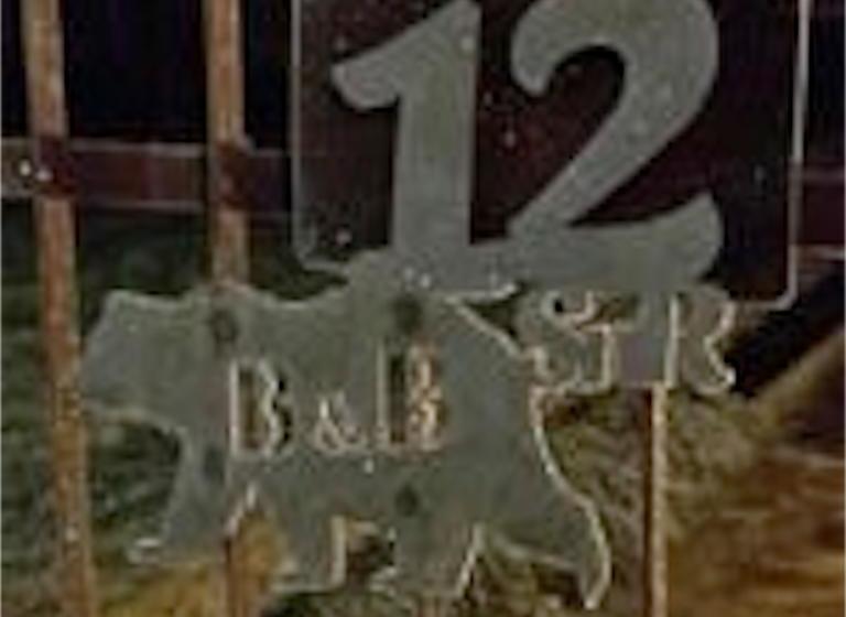 Bed and Breakfast Snorky And Roar  | Azzano san Paolo | Bergamo | Italia 15