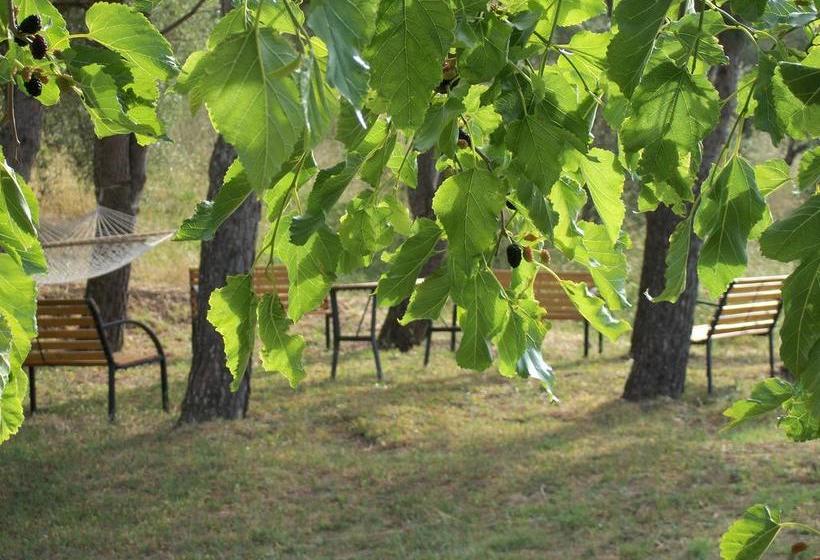 Le Poiane B&b  | San Piero Patti | Messine | Italie 11